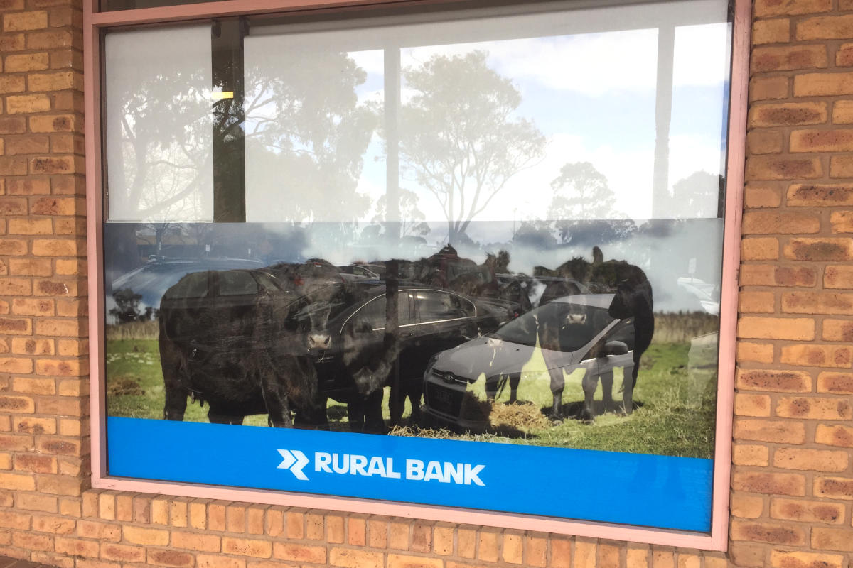 Rural Bank digi print window